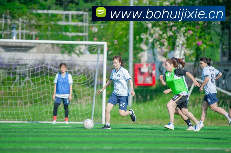 多媒体互动体验